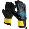 Goalkeeper Glove